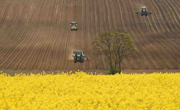 Британската хранително вкусова промишленост е на ръба на колапса заради нарастващите