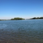 Цанко Цанков започна опит за световно постижение за 24-часово плуване, без да спира във водите на река Дунав 