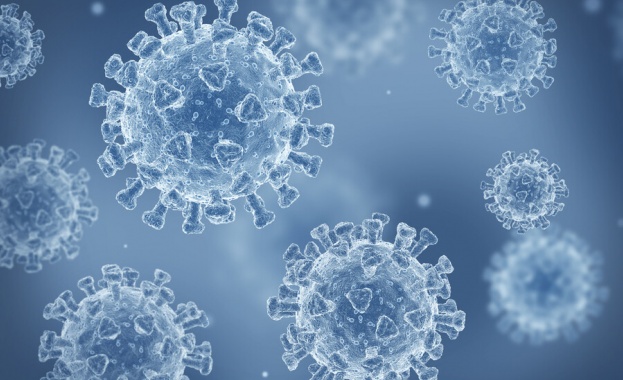 672 са новите случаи на коронавирус в България показват данните