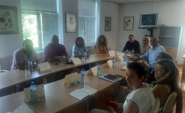 С допълнителни 6 млн лв ще бъде подпомогнат лозаро винарският сектор