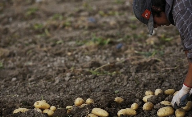 Държавен фонд Земеделие ДФЗ преведе 1 25 млн лв 1 258