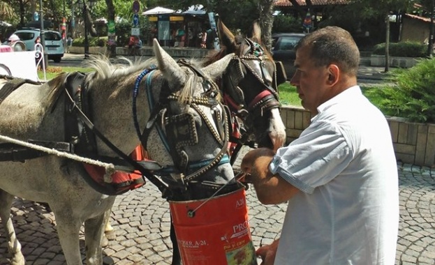 Млада жена е била ударена от файтон в Созопол Тя