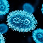 Европейска държава поръча 440 000 дози ваксина срещу маймунска шарка