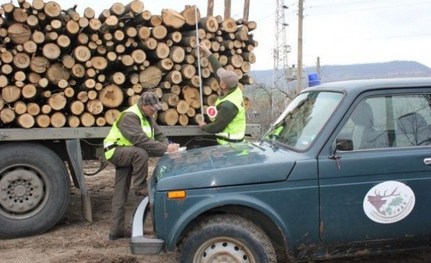 Близо 17 000 проверки извършиха горските инспектори от държавните предприятия