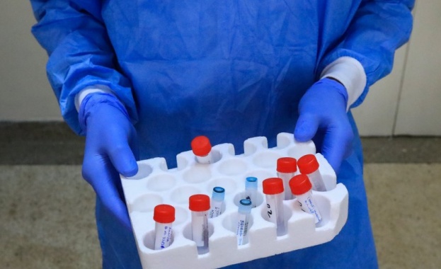 Треската денга настъпва в различни части на Европа заради климатичните