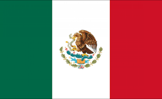 Най малко 12 души участвали в коледно тържество в мексиканския щат