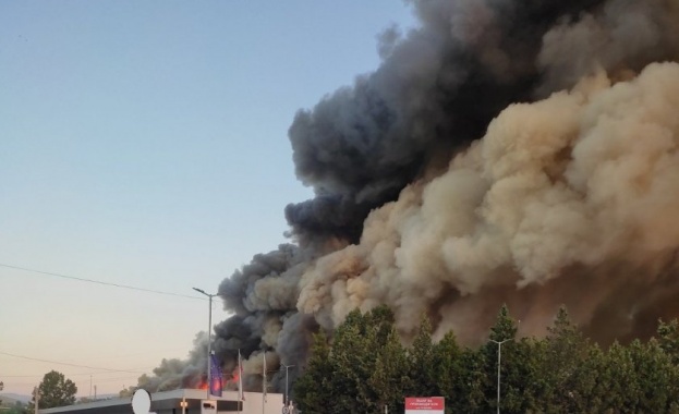 Пожар гори край зеленчуковата борса в пазарджишкото село Огняново По първоначална