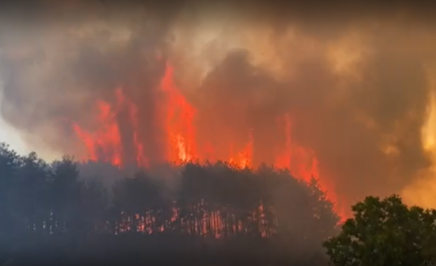 Голям пожар пламна край вилното селище Старите лозя в Казанлък