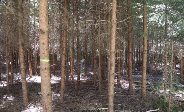 Заместник министърът на земеделието инж Валентин Чамбов и негови колеги се