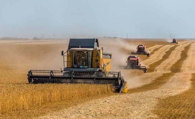 Милен Коев: 300 000 тона зърно залежават в складовете в Русенска област