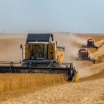 Зърнопроизводителите са ожънали 7 131 095 тона пшеница