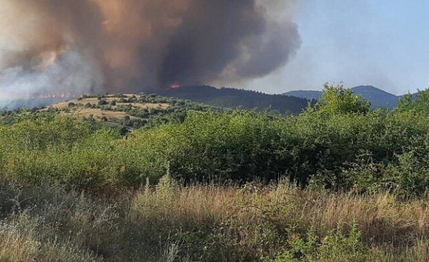 Пожарът над пазарджишките села Калугерово и Лесичово е напълно локализиран
