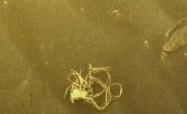 Неочаквана снимка от повърхността на Марс засне роувърът на НАСА