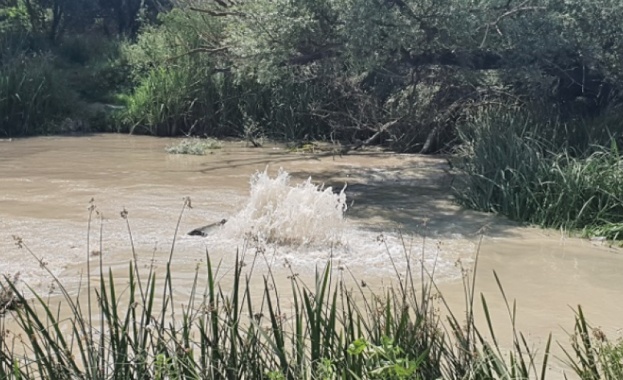 Шумен остана без вода днес заради авария на довеждащия водопровод