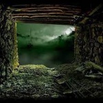 Мъдрият се учи да...