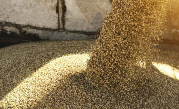 Спад в цените на основните зърнени стоки по световните борсови