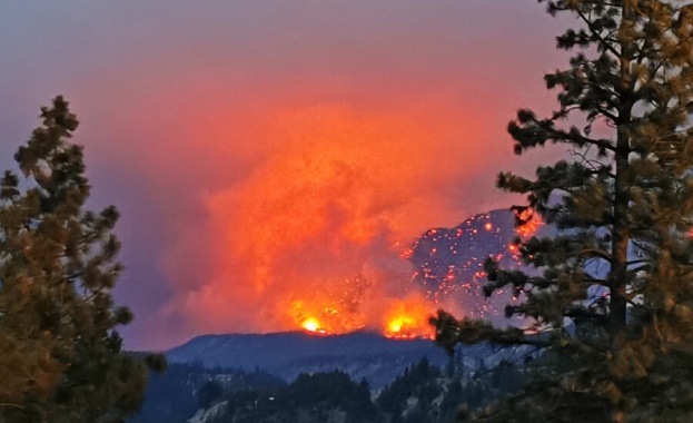 Горският пожар в национален парк в Чехия се разпространява на хиляда хектара