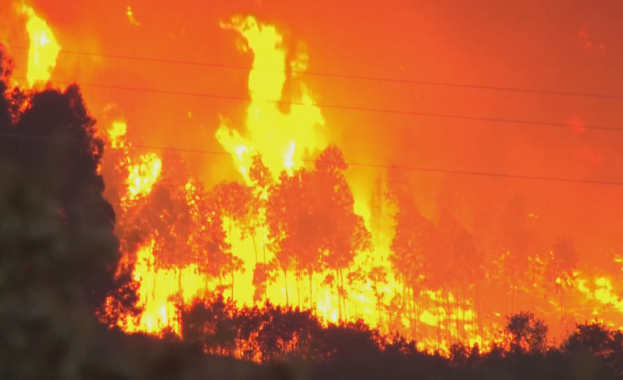 Първият за тази година голям пожар в Испания все още