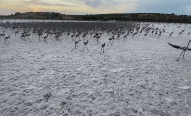 След двугодишно прекъсване заради Ковид в една от най големите колонии