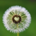 Места в България, които не знаете, че сбъдват желания