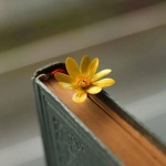 Добър човек е този...