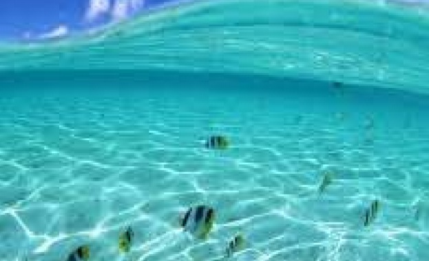 Морската вода хидратира кожата и лекува кожни проблеми