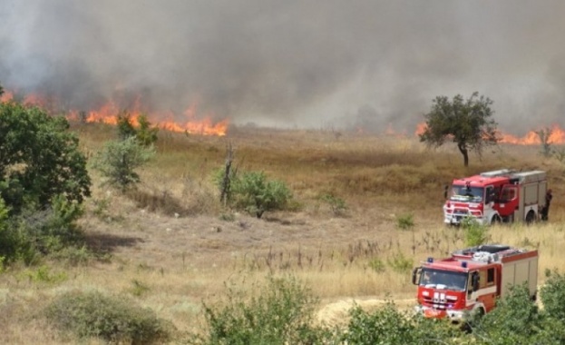Детска игра с огън подпали гора край Сухиндол Пожарът лумнал