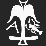 Екипът на Центъра за подводна археология разказва за своите морски проучвания в кратки научно-популярни филми