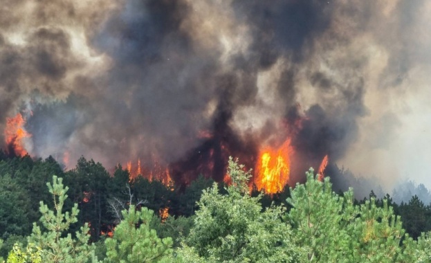 Пожар обхвана района на Кресненското дефиле в посока Стара Кресна