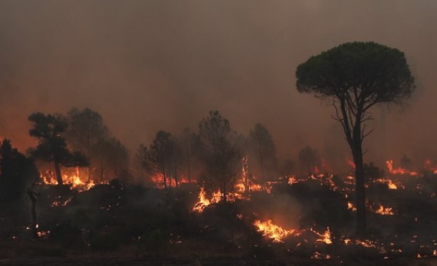 Обявиха частично бедствено положение на територията на Община Раднево Пожар избухна