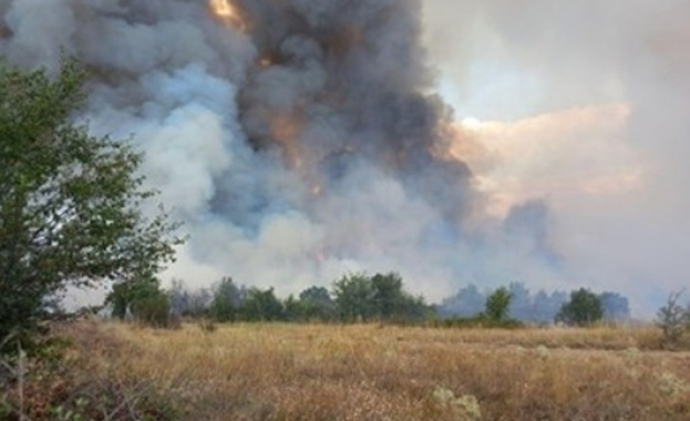 Районната прокуратура Пазарджик е образувала досъдебно производство срещу неизвестен извършител