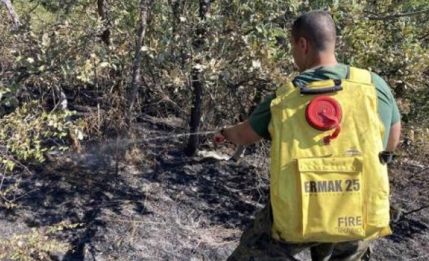 Формирование от 31 ви механизиран батальон Хасково продължава и днес