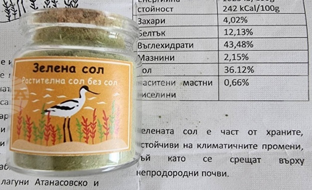 В Бургас създадоха сол от растение, което вирее в Атанасовското