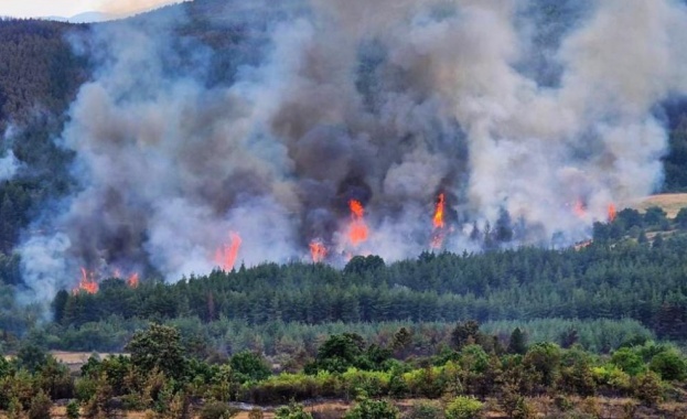 Пожар е възникнал в Сакар планина на границата между двете