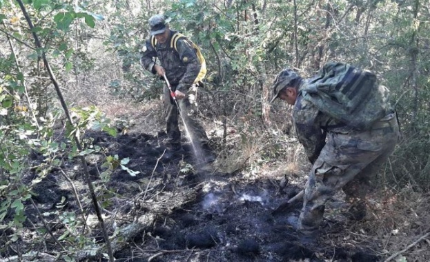 Военнослужещи помагат при гасенето на пожар в село Изворово