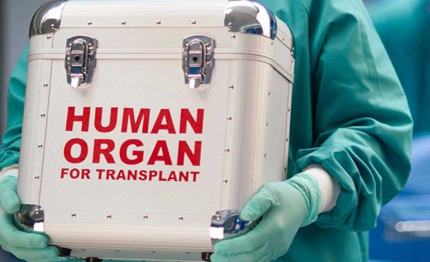 Японско разследване уличи българска болница в участие в международна схема за незаконни трансплантации