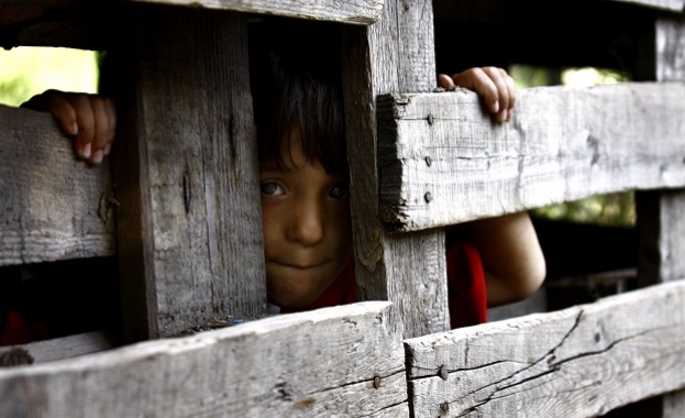 На 21 август неделя от 17 00 ч по БНТ 1