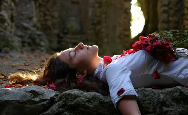 Случаят с Елън Садлър съвсем обикновено момиче което заспива един