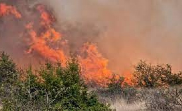 Двама мъже на 61 и 48 години са заподозрени за