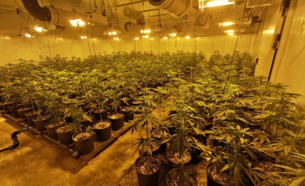 Съвместна спецоперация на служители на ГД Национална полиция и екипи от