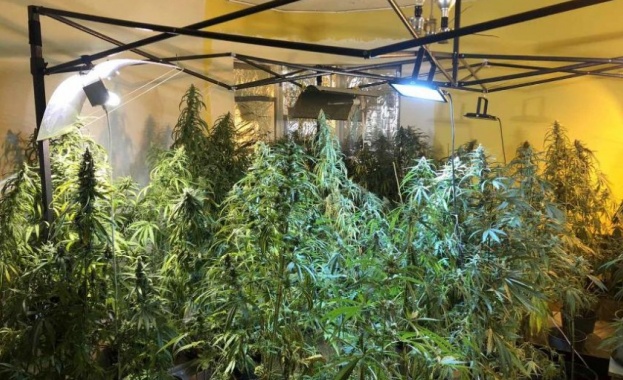 Служители на ГДБОП МВР са задържали 3 лица в гр Русе