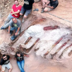 Учени откриха напълно запазен скелет на динозавър в частен двор в Португалия