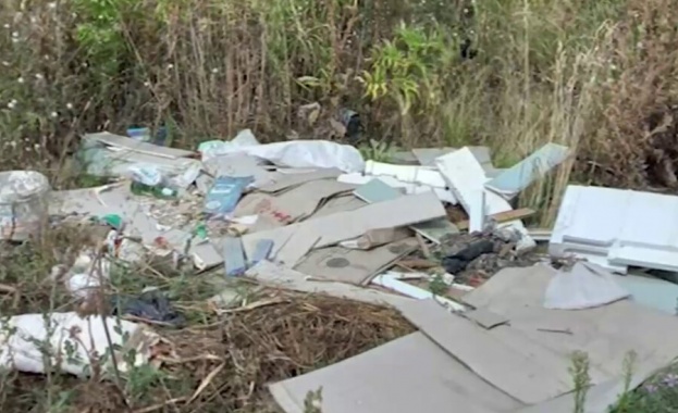 500 лева награда обяви кметът на Тутракан По този начин