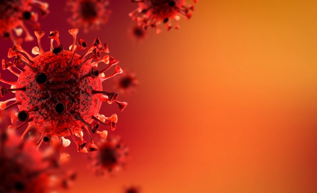 Двеста и петнайсет нови случая на коронавирус са били регистрирани