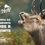 Призив от природата: Редица животински видове в Родопите са пред изчезване