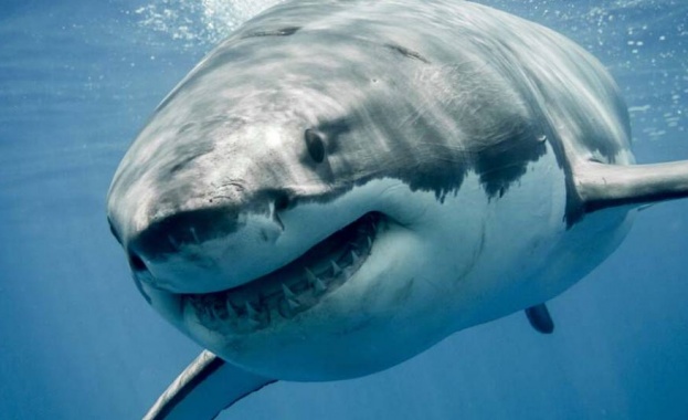 Повишаването на температурите на океана може да увеличи заплахата за