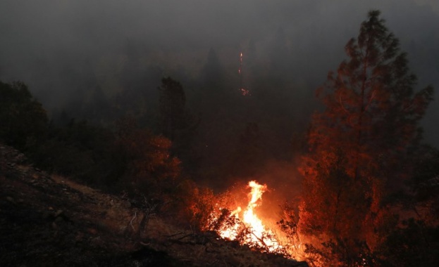Пожар край разложкото село Елешница е засегнал 50 декара горски