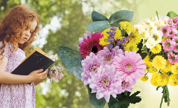 От днес Lidl предлага богато разнообразие от саксийни цветя и