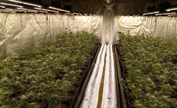 В хода на проведено разследване свързано са производство и разпространение