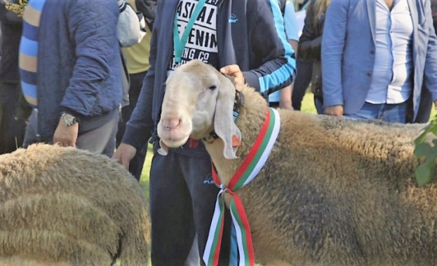 Дълго чакан празник на животновъдите започна в Сливен
